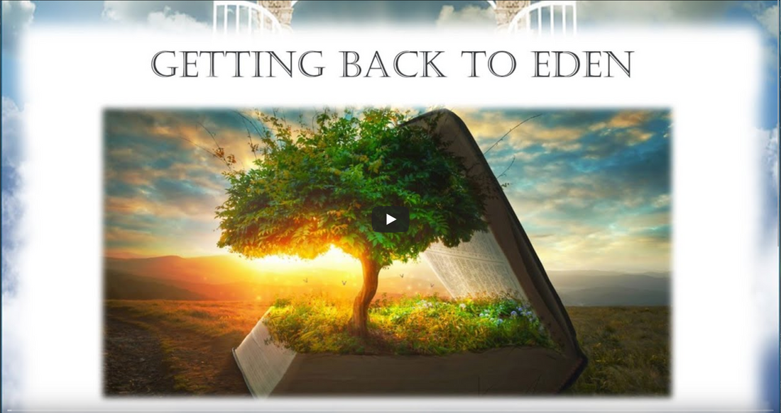 Dreaming of Heaven | A Sister in Christ Teaching the True Word of God (KJV Truth)