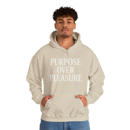 Purpose Over Pleasure Awakening Righteousness Hoody Apparel For Men and Women