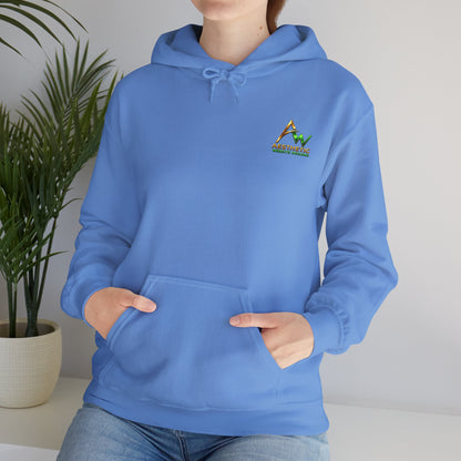 Aesthetic Website Designs Hoody