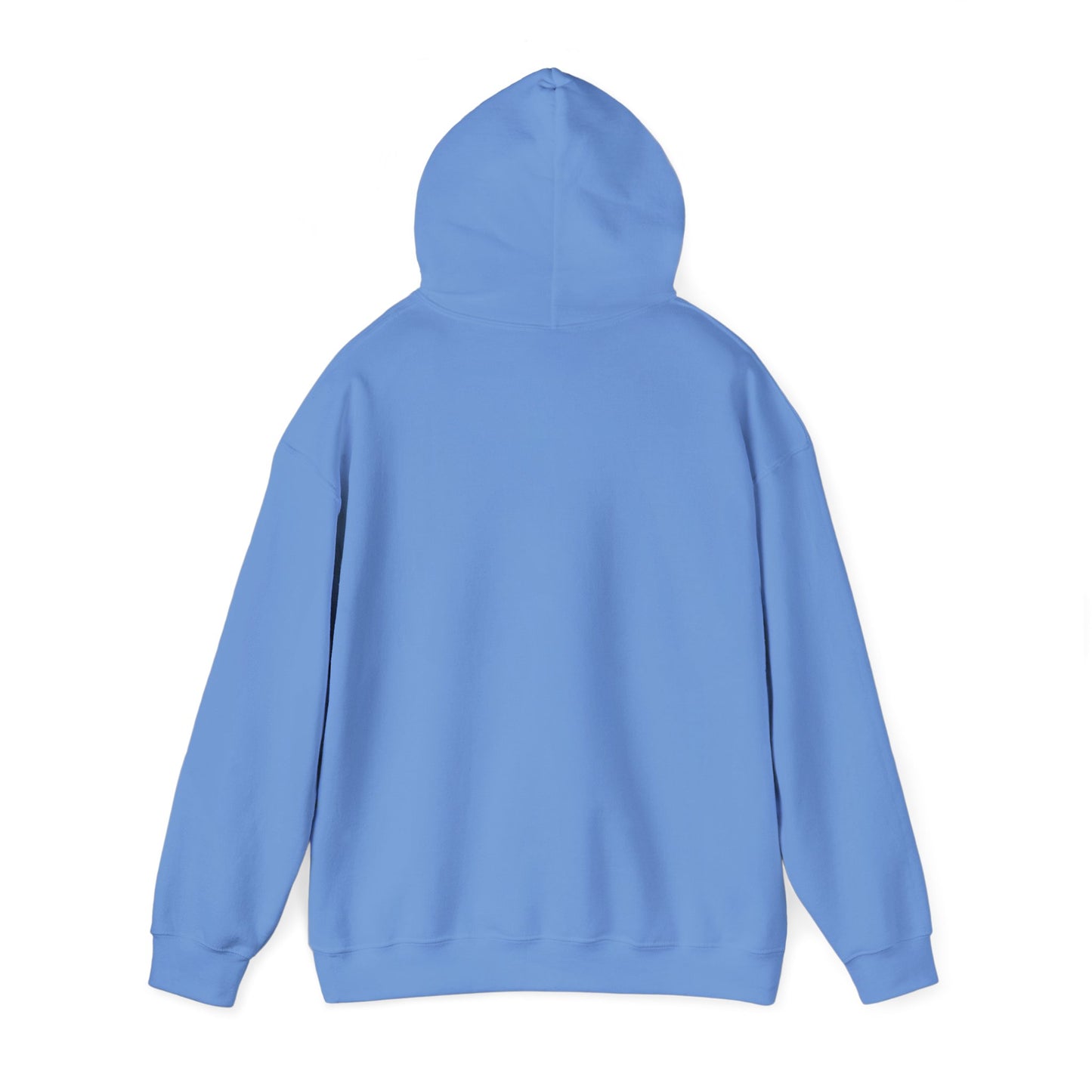 Strength Through Christ Awakening Righteousness Hoody - Awakening Righteousness