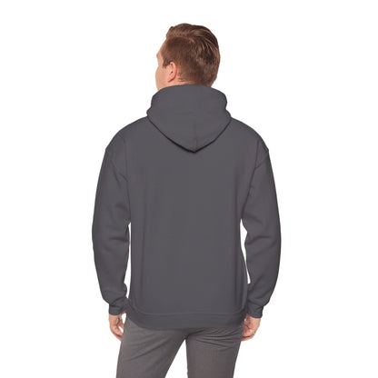 Armor Of God, Body of Discipline Awakening Righteousness Hoody Apparel For Men and Women - Awakening Righteousness