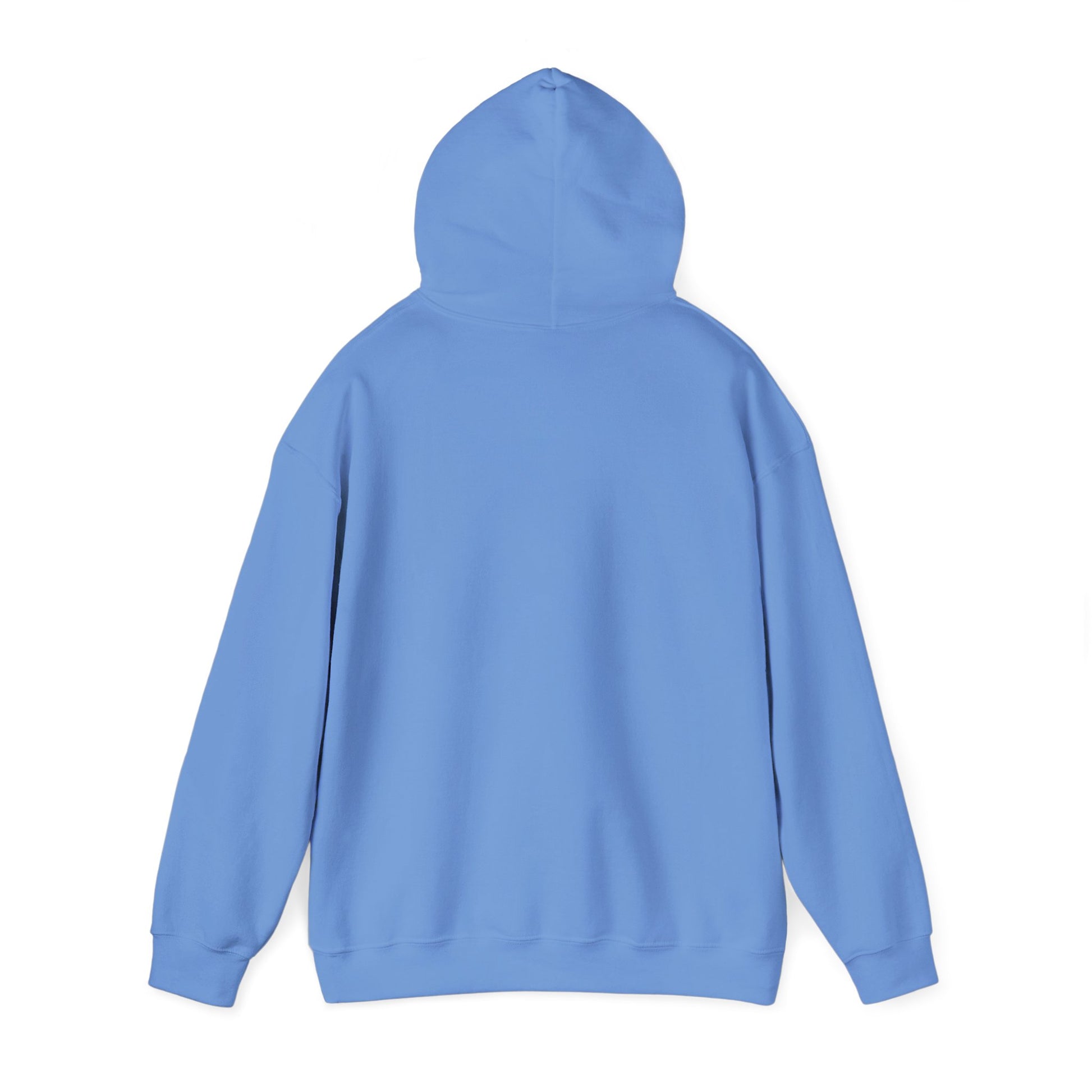 Discipline Awakening Aesthetics Hooded Sweatshirt - Awakening Righteousness