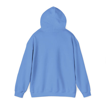 Discipline Awakening Aesthetics Hooded Sweatshirt - Awakening Righteousness