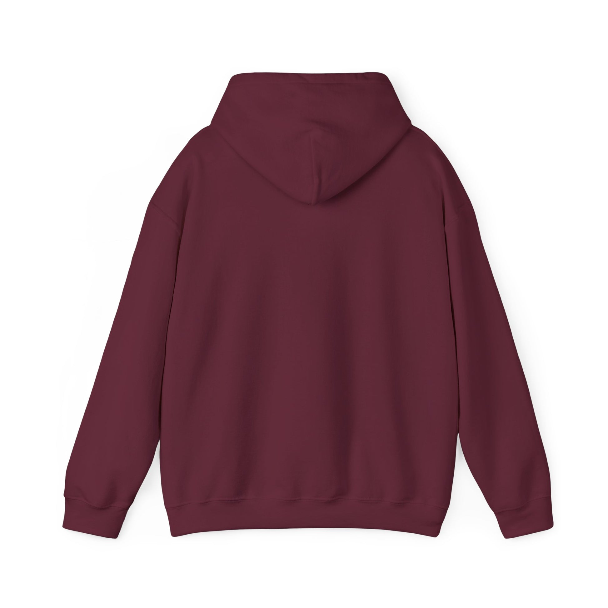 Strength Through Christ Awakening Righteousness Hoody - Awakening Righteousness