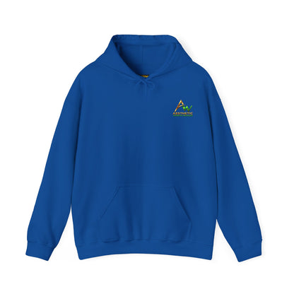 Aesthetic Website Designs Hoody