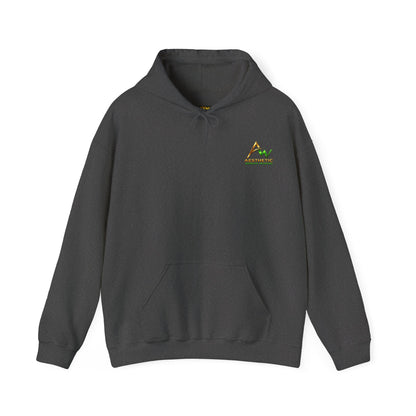 Aesthetic Website Designs Hoody