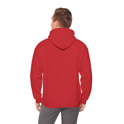 Discipline Awakening Aesthetics Hooded Sweatshirt - Awakening Righteousness