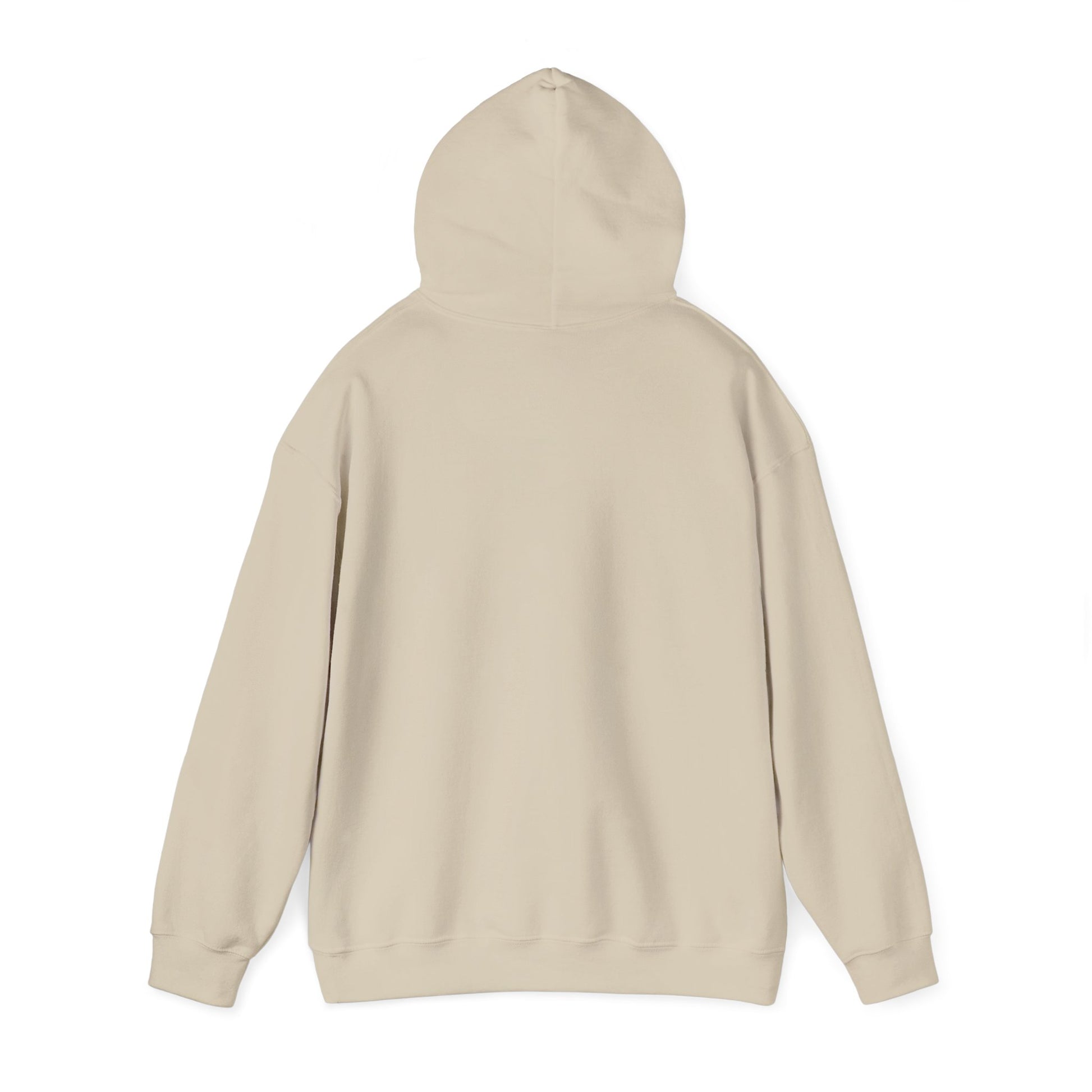 Strength Through Christ Awakening Righteousness Hoody - Awakening Righteousness