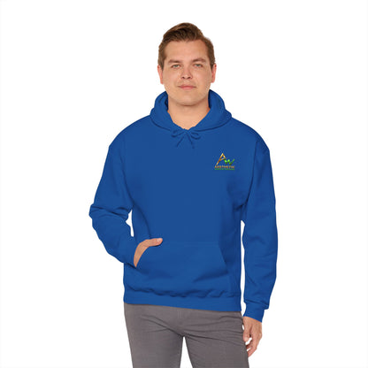 Aesthetic Website Designs Hoody