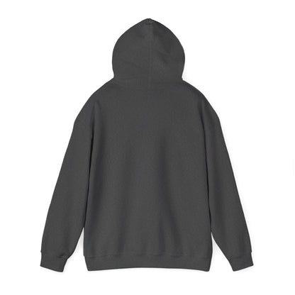 Built In His Image Awakening Righteousness Hoody Apparel For Men and Women