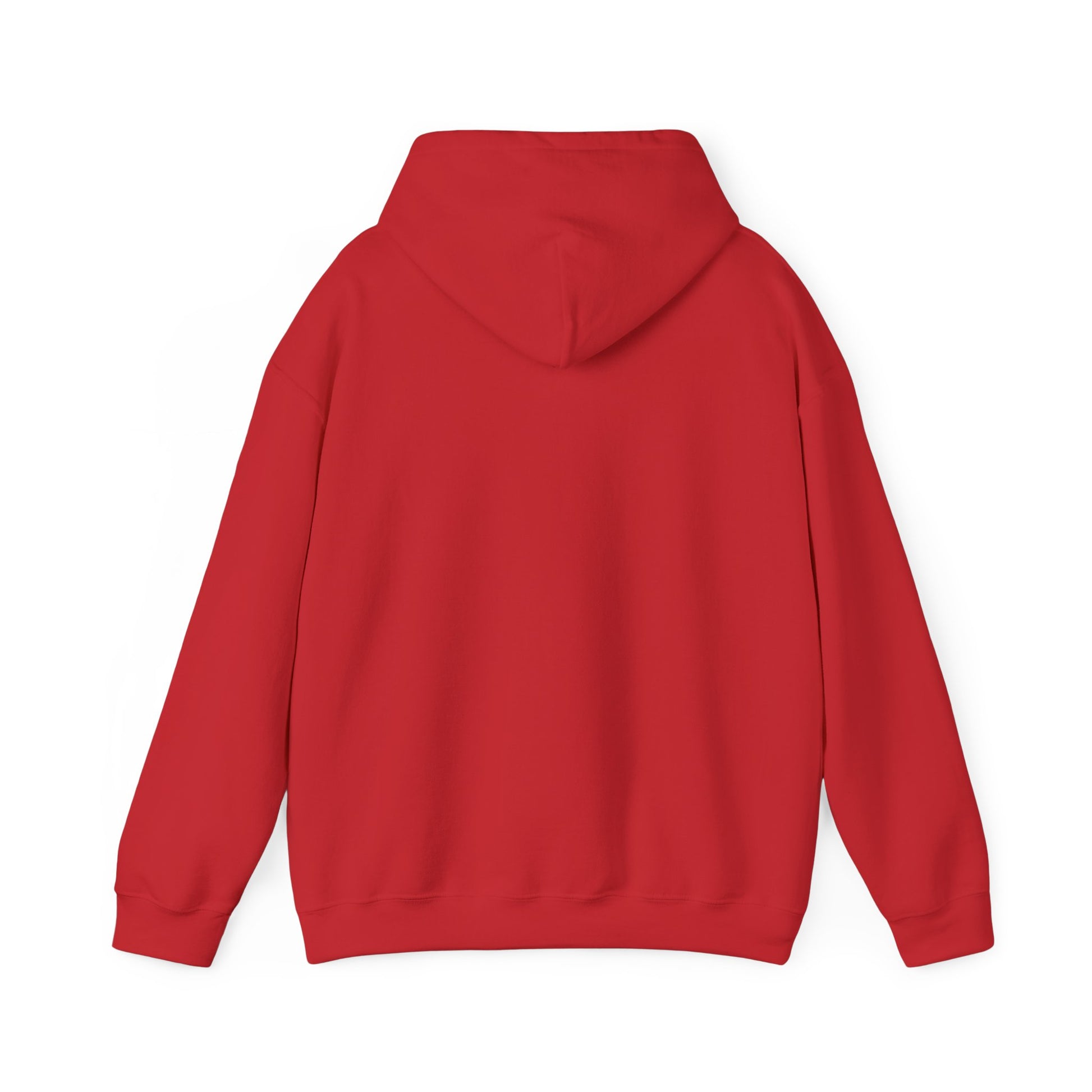 Strength Through Christ Awakening Righteousness Hoody - Awakening Righteousness