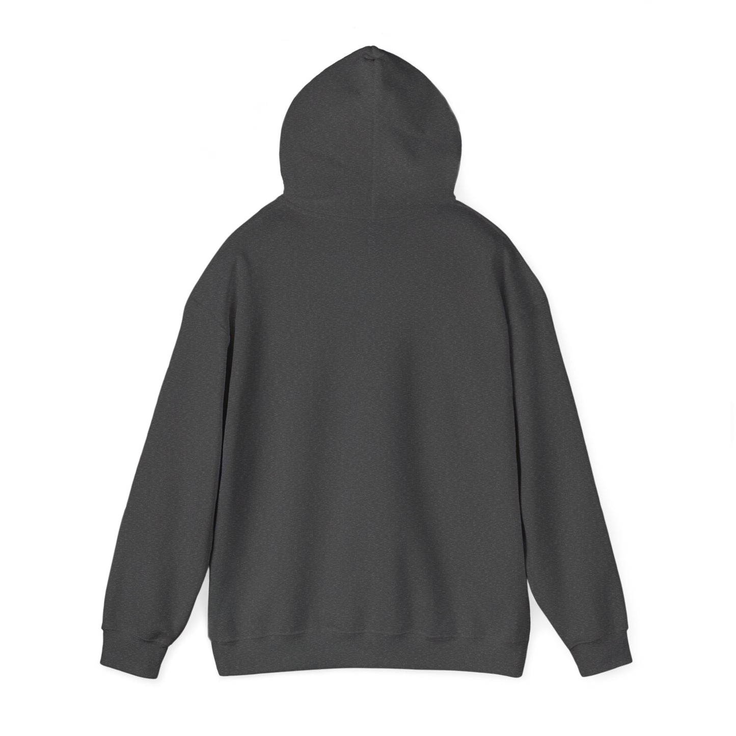 Strength Through Christ Awakening Righteousness Hoody - Awakening Righteousness