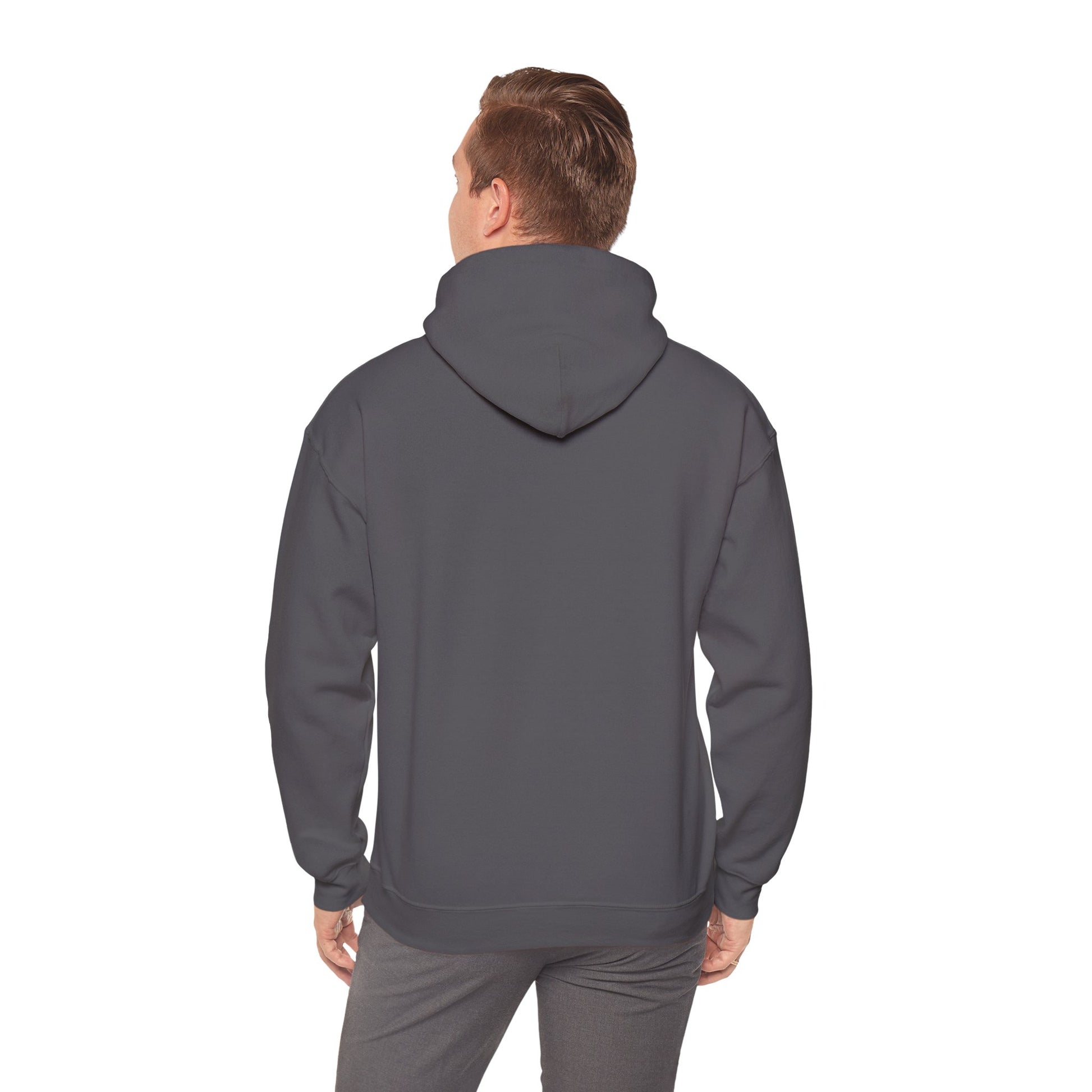 Conquer Yourself Awakening Righteousness Hoody For Men and Women - Awakening Righteousness