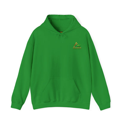 Aesthetic Website Designs Hoody