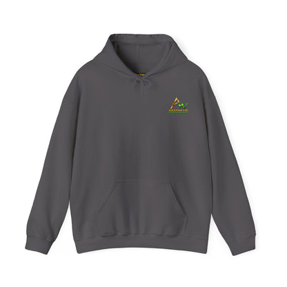 Aesthetic Website Designs Hoody