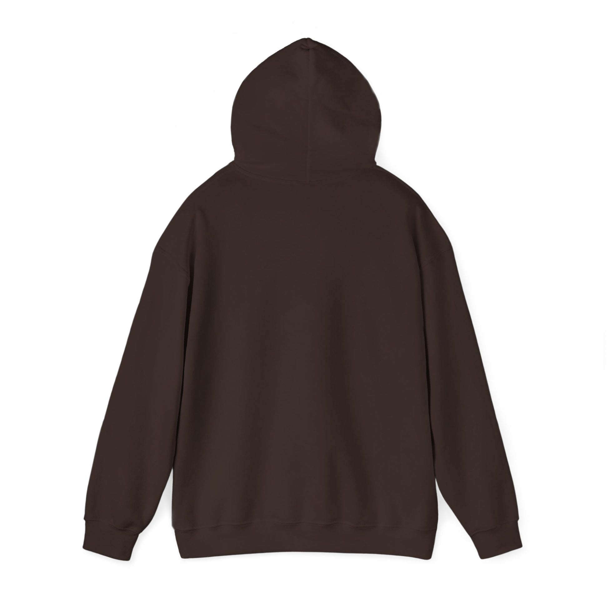 Awaken The Warrior Within Awakening Righteousness Hoody Apparel For Men and Women - Awakening Righteousness