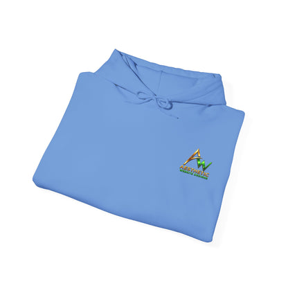 Aesthetic Website Designs Hoody