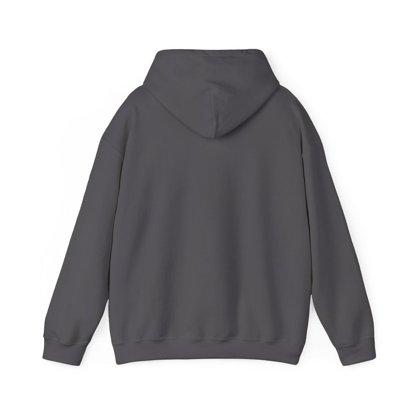 Strength Through Christ Awakening Righteousness Hoody - Awakening Righteousness