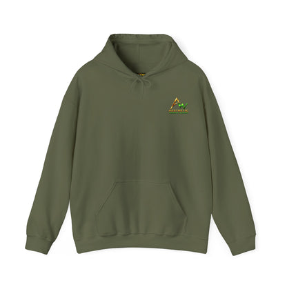 Aesthetic Website Designs Hoody