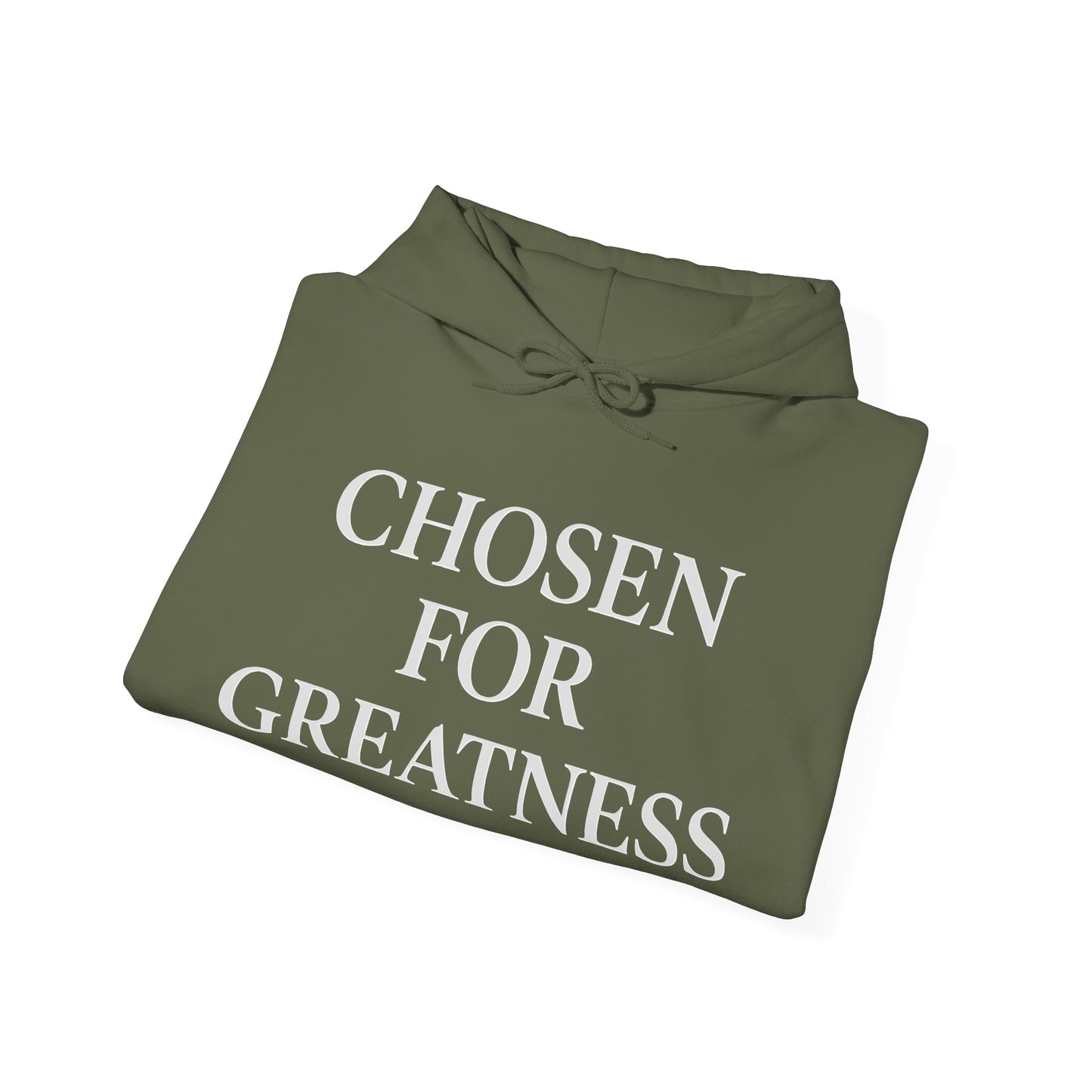 Chosen For Greatness Awakening Righteousness Hoody Apparel For Men and Women
