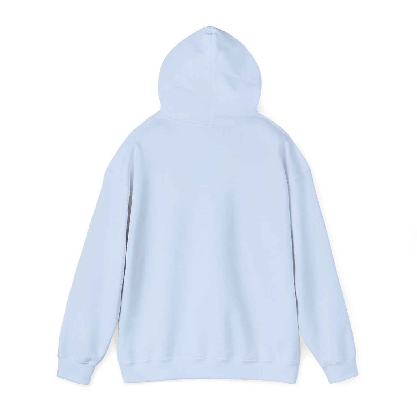 No Excuses Just Purpose Awakening Righteousness Hoody Apparel For Men and Women