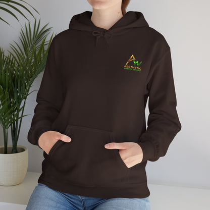 Aesthetic Website Designs Hoody