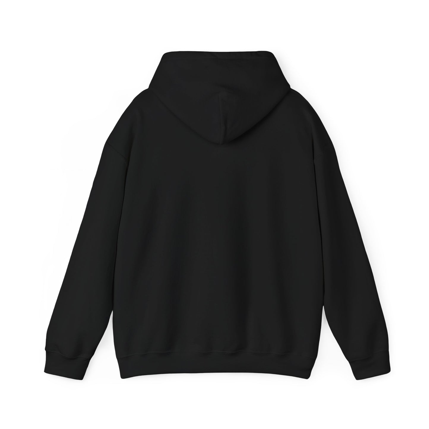 Discipline Awakening Aesthetics Hooded Sweatshirt - Awakening Righteousness