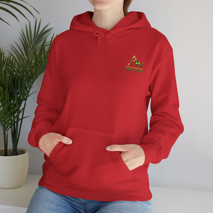 Aesthetic Website Designs Hoody