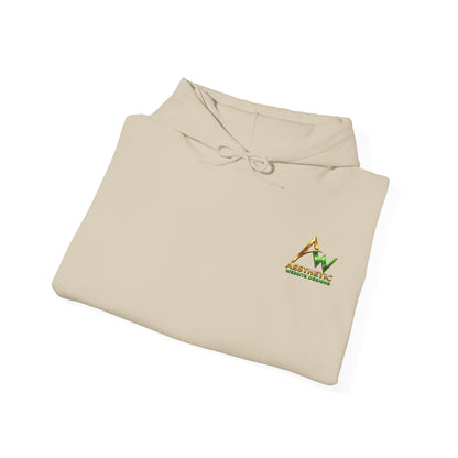 Aesthetic Website Designs Hoody