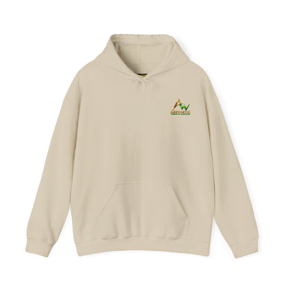 Aesthetic Website Designs Hoody