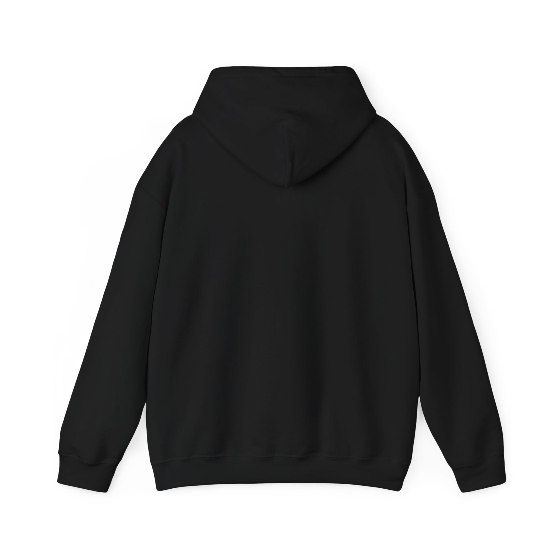 Conquer Yourself Awakening Righteousness Hoody For Men and Women - Awakening Righteousness