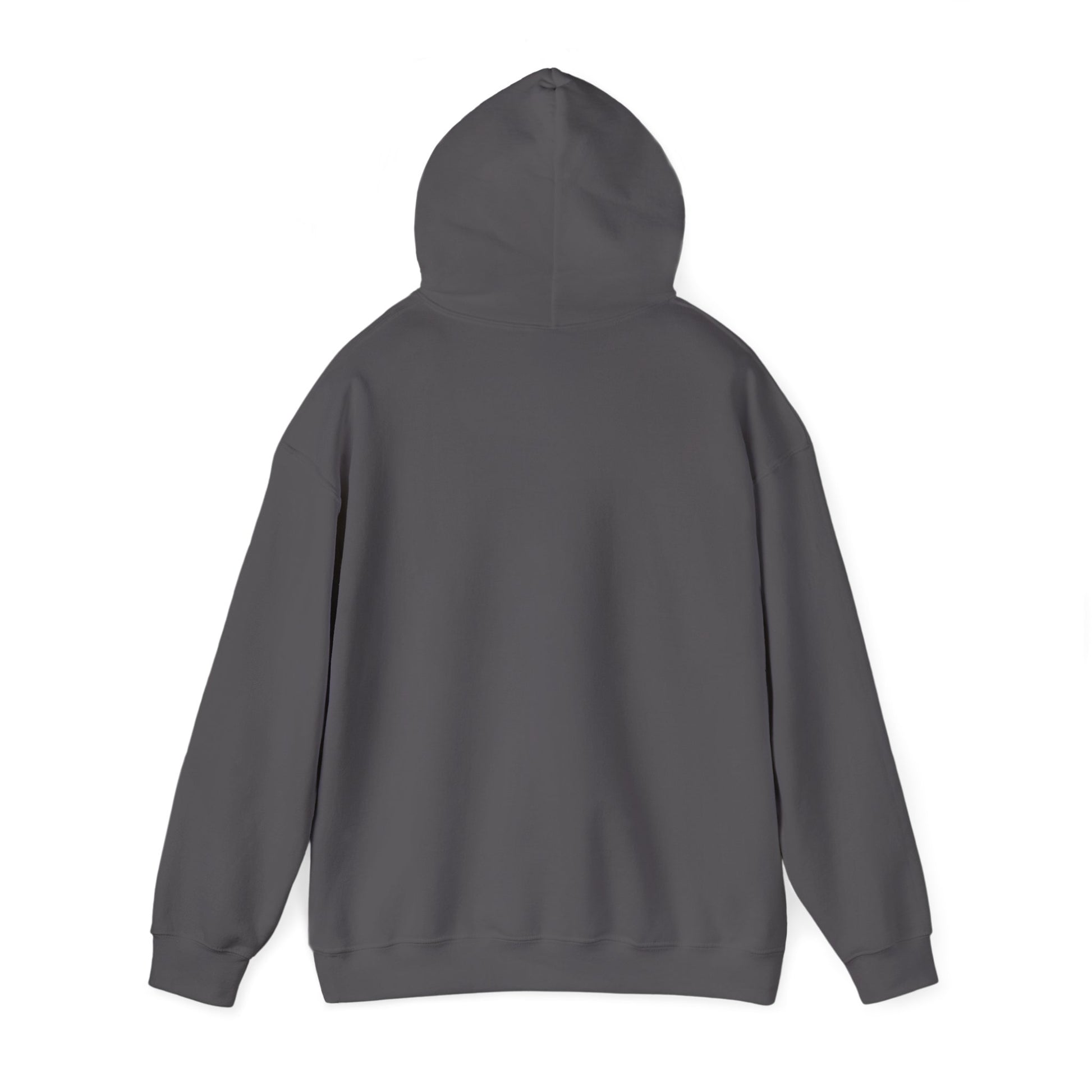 Faith Focus Strength - Awakening Righteousness Hoody Apparel For Men and Women - Awakening Righteousness