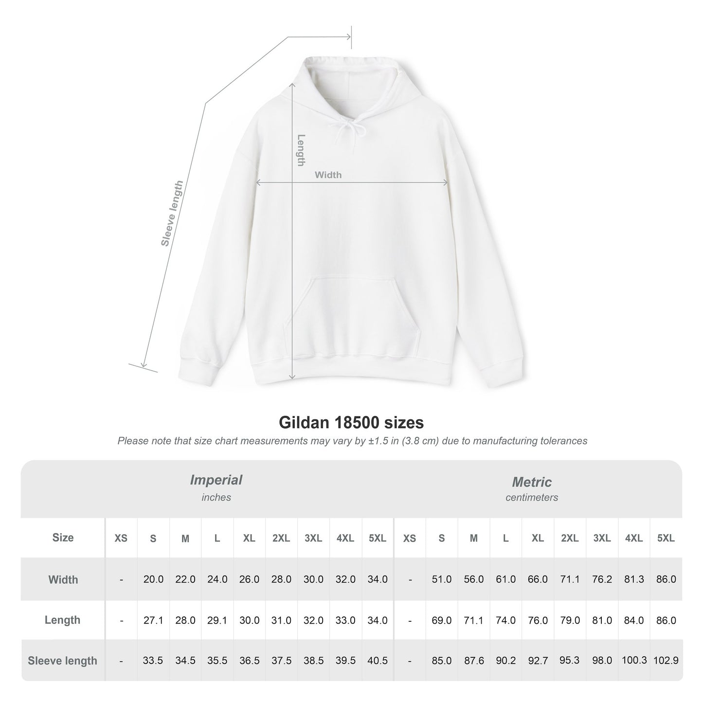 Aesthetic Website Designs Hoody