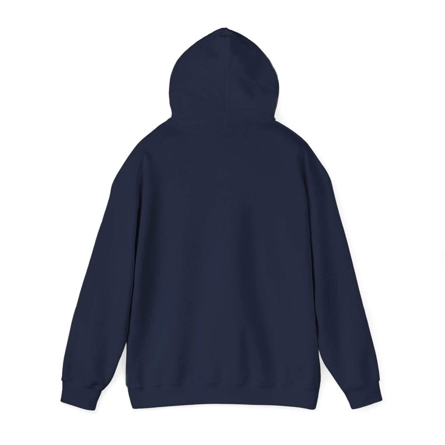 Discipline Awakening Aesthetics Hooded Sweatshirt - Awakening Righteousness