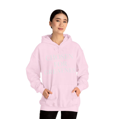Chosen For Greatness Awakening Righteousness Hoody Apparel For Men and Women