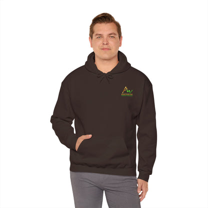 Aesthetic Website Designs Hoody