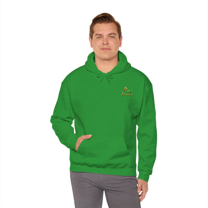 Aesthetic Website Designs Hoody
