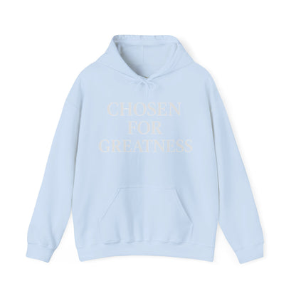 Chosen For Greatness Awakening Righteousness Hoody Apparel For Men and Women