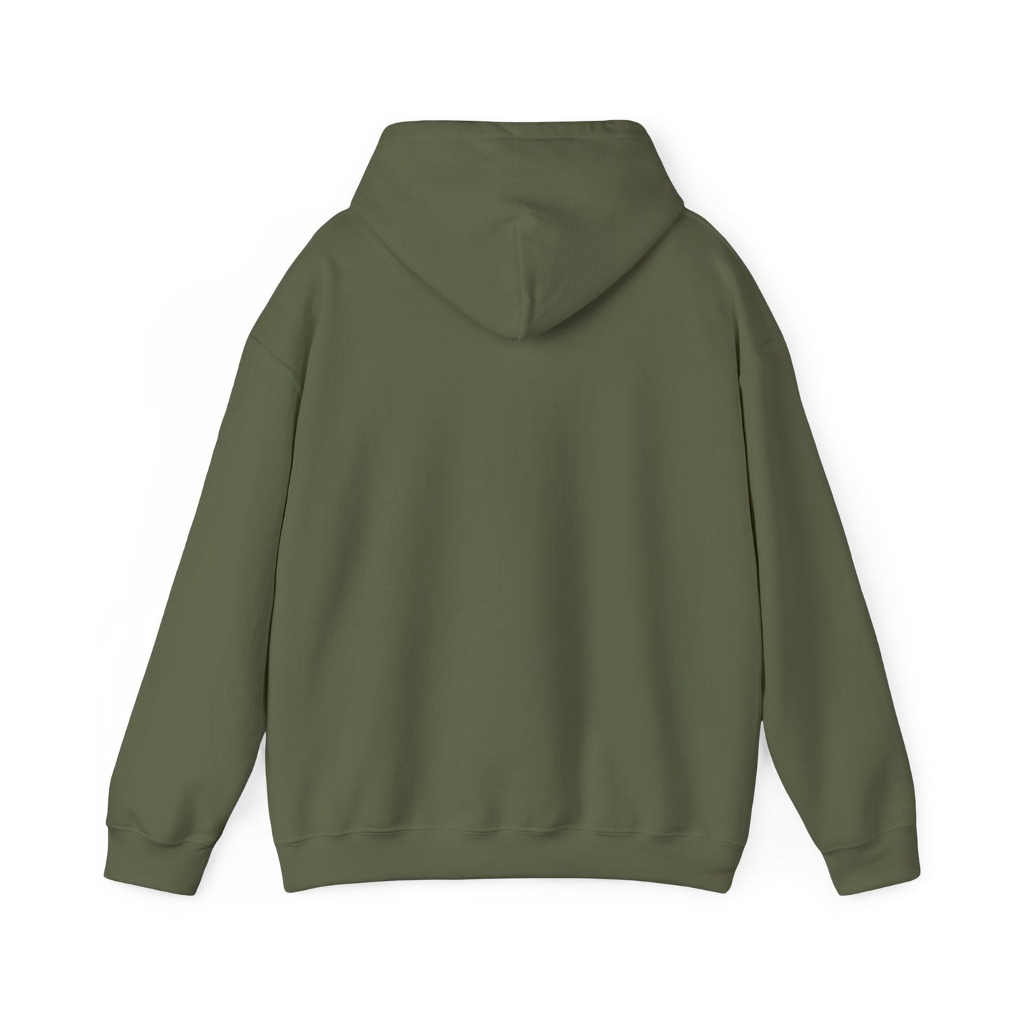 Awakening Aesthetics Bodybuilding Hoodie - Awakening Righteousness