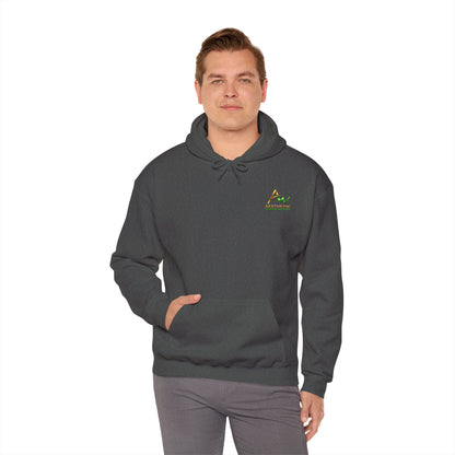 Aesthetic Website Designs Hoody