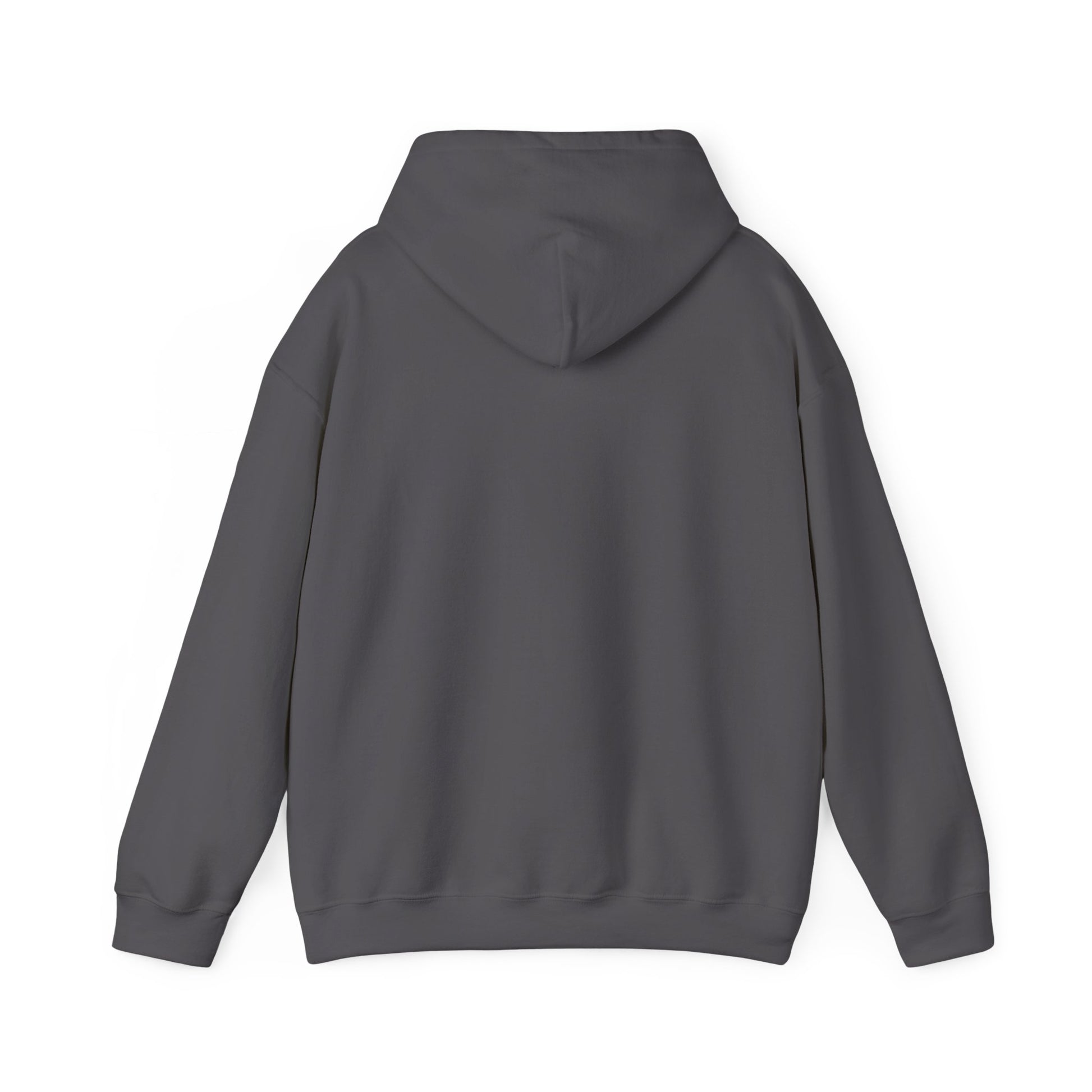 Train With Purpose Aesthetics Bodybuilding Hoodie - Awakening Righteousness