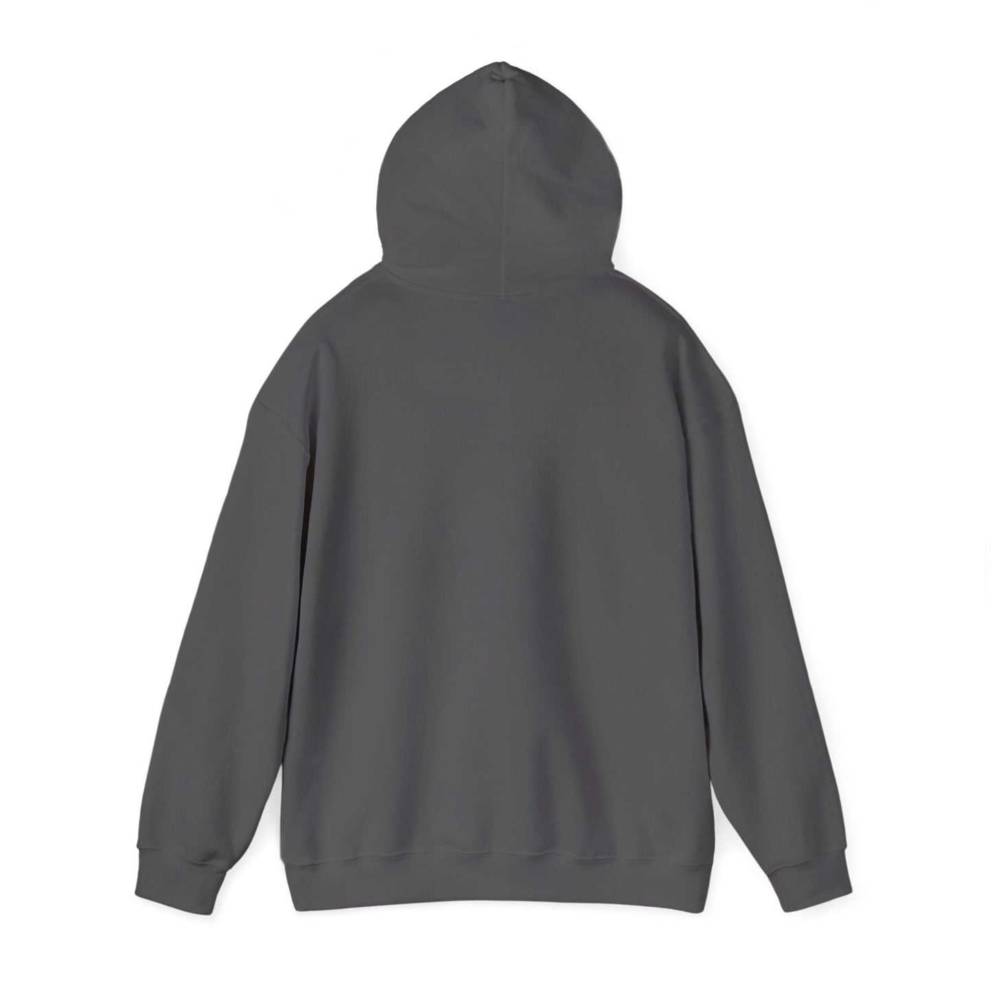 Conquer Yourself Awakening Righteousness Hoody For Men and Women - Awakening Righteousness