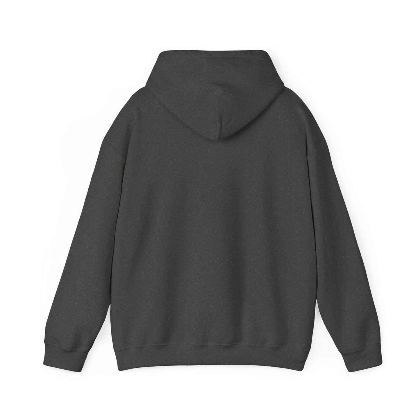 Awaken The Warrior Within Awakening Righteousness Hoody Apparel For Men and Women - Awakening Righteousness
