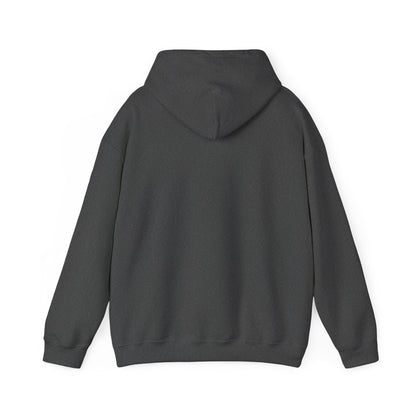 Awaken The Warrior Within Awakening Righteousness Hoody Apparel For Men and Women - Awakening Righteousness