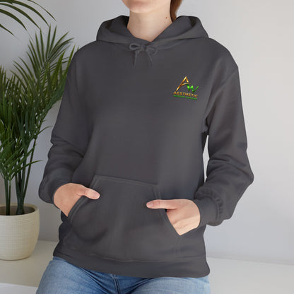 Aesthetic Website Designs Hoody