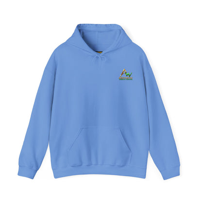 Aesthetic Website Designs Hoody