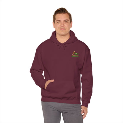 Aesthetic Website Designs Hoody