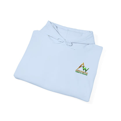 Aesthetic Website Designs Hoody