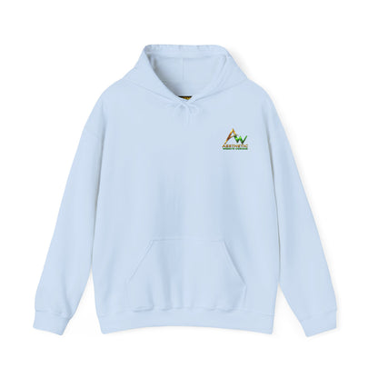 Aesthetic Website Designs Hoody