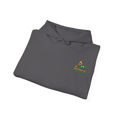 Aesthetic Website Designs Hoody